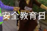 安全教育日主題活動(dòng)方案