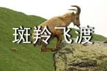 (優(yōu)選)斑羚飛渡讀后感14篇