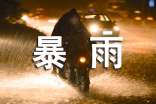 暴雨篩的讀后感