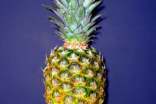 吃菠蘿的好處有哪些