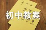 初中教案模板