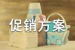 優(yōu)惠促銷方案范文
