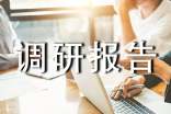 經(jīng)濟(jì)發(fā)展調(diào)研報告