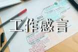 一年工作感言