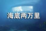 讀《海底兩萬里》有感(通用12篇)