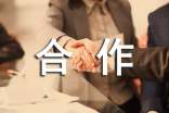 關(guān)于工作合作的心得體會(huì)