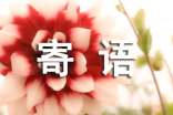 寶貝的寄語(yǔ)簡(jiǎn)短