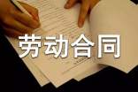 (優(yōu))雇傭勞動合同15篇