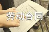 雇傭勞動(dòng)合同(實(shí)用)