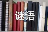 【精華】猜謎語作文集錦7篇