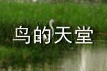 鳥的天堂導(dǎo)游詞(通用15篇)