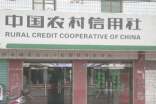 關(guān)于農(nóng)村信用社業(yè)務(wù)的調(diào)查報(bào)告