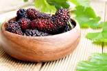 桑葚的功效與作用害處