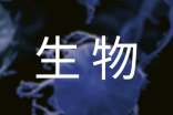 專業(yè)描述生物工程