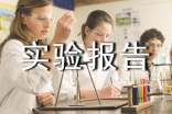 關(guān)于審計(jì)實(shí)驗(yàn)報(bào)告