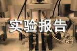 實(shí)驗(yàn)報(bào)告范文