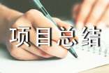 (集合)項目總結(jié)報告15篇