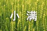 (優(yōu)選)暖心小滿祝福語