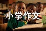 對(duì)視小學(xué)作文
