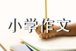欣賞小學(xué)作文