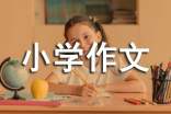 【熱門】動物小學(xué)作文300字合集六篇