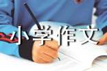 燭小學(xué)作文