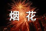 禁止放煙花爆竹的倡議書(通用11篇)