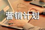 年度營銷計劃書范文