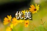 優(yōu)美心情隨筆