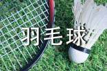 打羽毛球心得體會