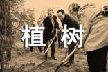 植樹心得體會