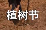少先隊植樹節(jié)廣播稿(2017最新版)
