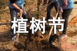 暖心植樹節(jié)祝福語(yǔ)9篇