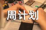 周總結(jié)周計劃模板