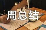 周總結(jié)與計劃表格