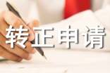 工程師轉(zhuǎn)正申請書集錦