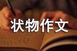 【集合】寫(xiě)狀物作文