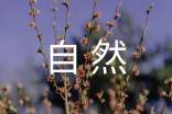 自然之道教學(xué)設(shè)計(jì)方案