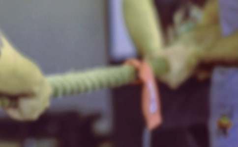 �κӱ�ِС�W(xu��)����(15ƪ)