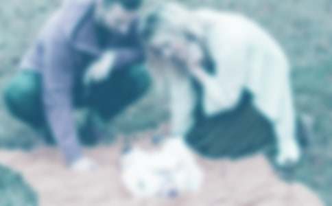 �o�ְ֋����ĸ��x��15ƪ