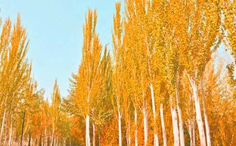 �ח�Yٝ�x���