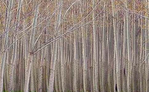 С�W(xu��)�n�ġ��ח�̰�