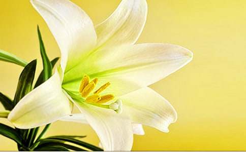 �P(gu��n)�ڰٺϻ��Ļ��Z���x