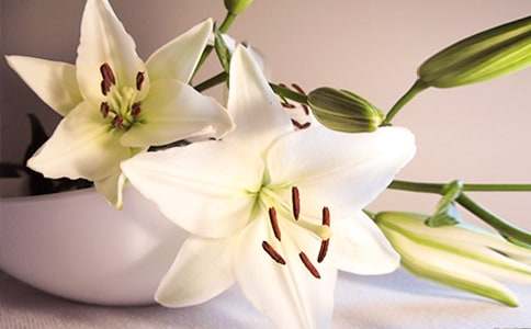 �۰ٺϻ��Ļ��Z��ʲô