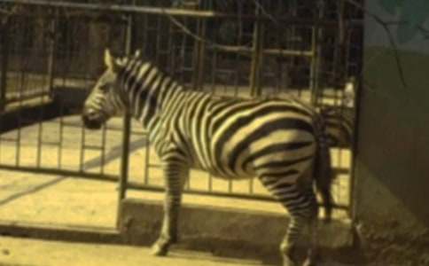 �����Y׌���R�����h��[��]