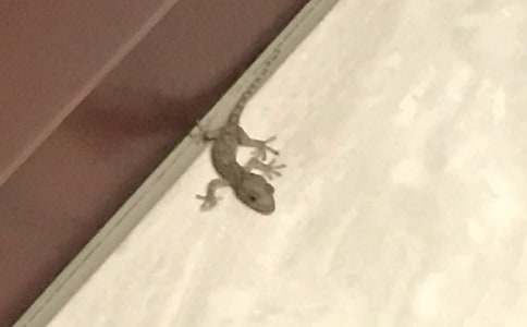 ��С�ڻ���β�͡��Ľ̰�