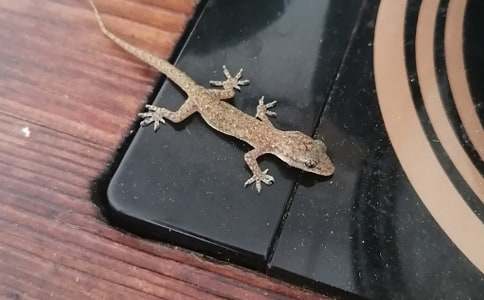 С�ڻ���β�ͽ̰������x25ƪ��