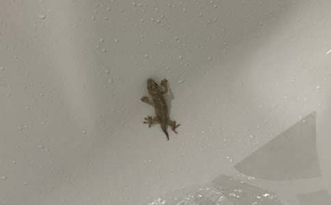 һ�꼉(j��)�̰�����С�ڻ���β�͡�