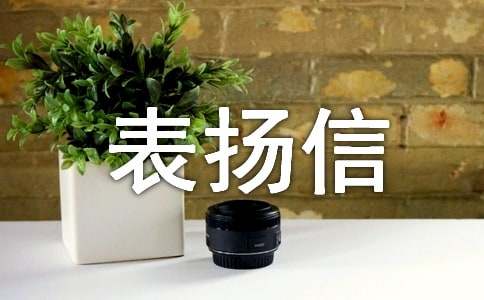 ���˱�P��(�R��15ƪ)