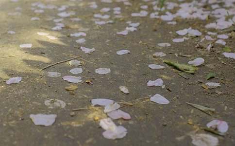 ����(y��u)���±�������15ƪ